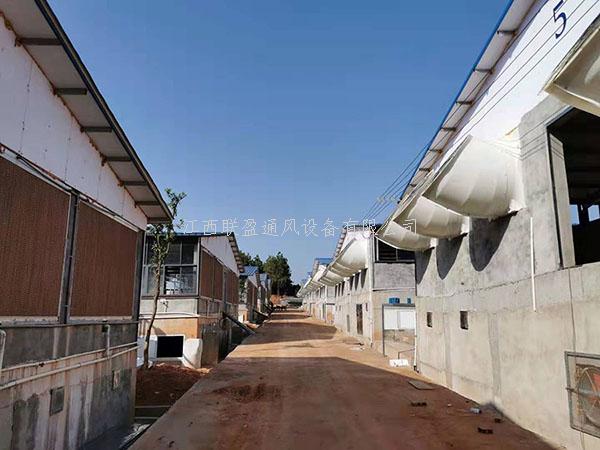 负压风机,厂房降温设备,水帘风机降温系统